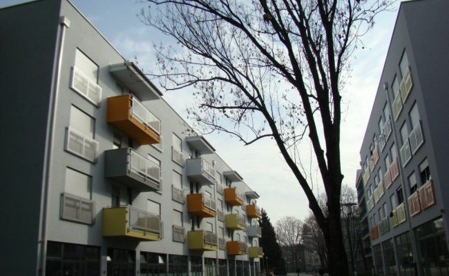 #htmlcaption_2890 Doživljaj doma: Sava u srcu jedne Poljakinje